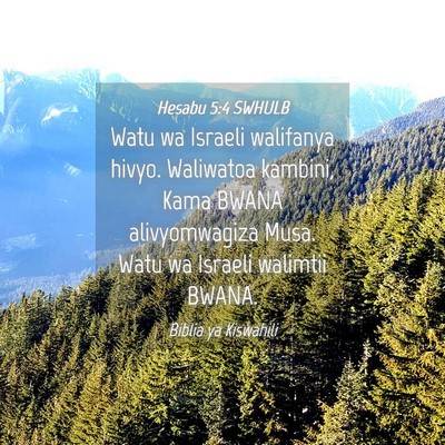 Picture 04 - Hesabu 5:4 SWHULB - Watu wa Israeli walifanya hivyo. Waliwatoa - Bible Verse Picture