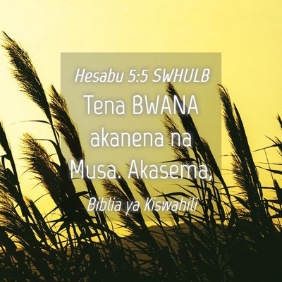Picture 04 - Hesabu 5:5 SWHULB - Tena BWANA akanena na Musa. - Bible Verse Picture