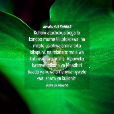 Picture 04 - Hesabu 6:19 SWHULB - Kuhani atachukua bega la kondoo mume - Bible Verse Picture