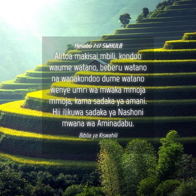 Picture 04 - Hesabu 7:17 SWHULB - Alitoa makisai mbili, kondoo waume watano, beberu - Bible Verse Picture