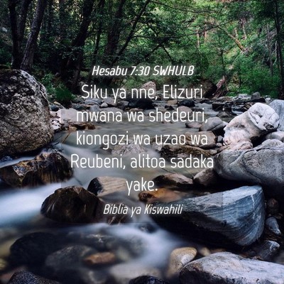 Picture 04 - Hesabu 7:30 SWHULB - Siku ya nne, Elizuri mwana wa shedeuri, kiongozi - Bible Verse Picture