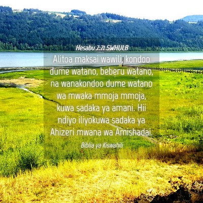 Picture 04 - Hesabu 7:71 SWHULB - Alitoa maksai wawili, kondoo dume watano, beberu - Bible Verse Picture