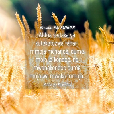 Picture 04 - Hesabu 7:81 SWHULB - Alitoa sadaka ya kuteketezwa fahari mmoja - Bible Verse Picture