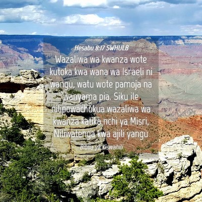 Picture 04 - Hesabu 8:17 SWHULB - Wazaliwa wa kwanza wote kutoka kwa wana wa - Bible Verse Picture
