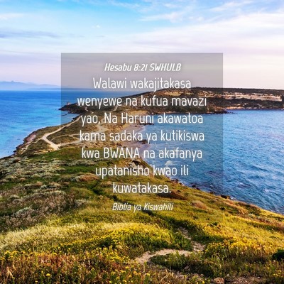Picture 04 - Hesabu 8:21 SWHULB - Walawi wakajitakasa wenyewe na kufua mavazi yao, - Bible Verse Picture