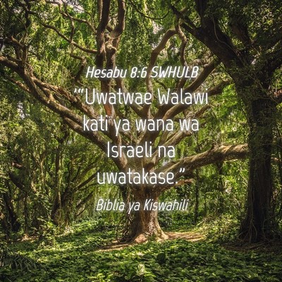 Picture 04 - Hesabu 8:6 SWHULB - '“Uwatwae Walawi kati ya wana wa Israeli na - Bible Verse Picture