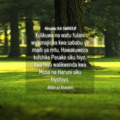 Picture 04 - Hesabu 9:6 SWHULB - Kulikuwa na watu fulani walionajisika kwa sababu - Bible Verse Picture