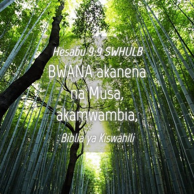 Picture 04 - Hesabu 9:9 SWHULB - BWANA akanena na Musa, - Bible Verse Picture