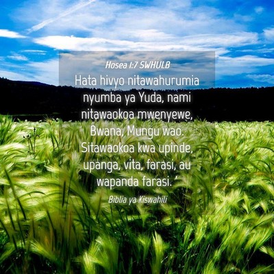 Picture 04 - Hosea 1:7 SWHULB - Hata hivyo nitawahurumia nyumba ya Yuda, nami - Bible Verse Picture