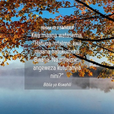 Picture 04 - Hosea 10:3 SWHULB - Kwa maana watasema, “Hatuna mfalme, kwa maana - Bible Verse Picture