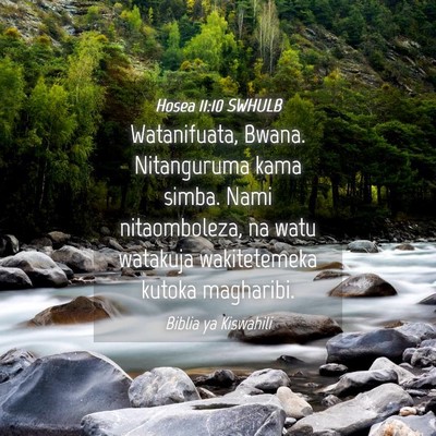 Picture 04 - Hosea 11:10 SWHULB - Watanifuata, Bwana. Nitanguruma kama simba. Nami - Bible Verse Picture