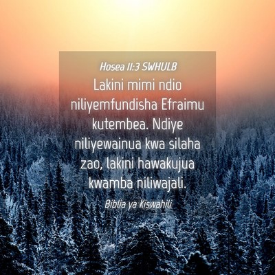 Picture 04 - Hosea 11:3 SWHULB - Lakini mimi ndio niliyemfundisha Efraimu - Bible Verse Picture