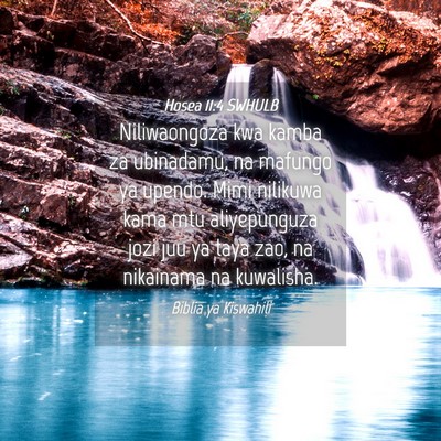 Picture 04 - Hosea 11:4 SWHULB - Niliwaongoza kwa kamba za ubinadamu, na mafungo - Bible Verse Picture