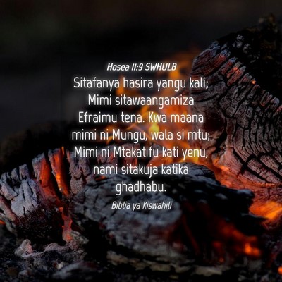 Picture 04 - Hosea 11:9 SWHULB - Sitafanya hasira yangu kali; Mimi sitawaangamiza - Bible Verse Picture