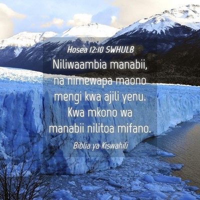 Picture 04 - Hosea 12:10 SWHULB - Niliwaambia manabii, na nimewapa maono mengi kwa - Bible Verse Picture