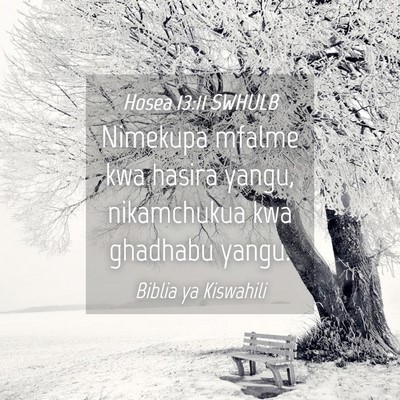 Picture 04 - Hosea 13:11 SWHULB - Nimekupa mfalme kwa hasira yangu, nikamchukua kwa - Bible Verse Picture