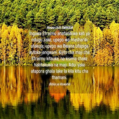 Picture 04 - Hosea 13:15 SWHULB - Ingawa Efraimu anafanikiwa kati ya ndugu zake, - Bible Verse Picture