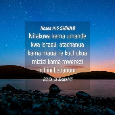 Picture 04 - Hosea 14:5 SWHULB - Nitakuwa kama umande kwa Israeli; atachanua kama - Bible Verse Picture
