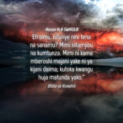 Picture 04 - Hosea 14:8 SWHULB - Efraimu, nifanye nini tena na sanamu? Mimi - Bible Verse Picture