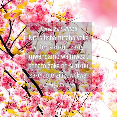 Picture 04 - Hosea 2:11 SWHULB - Nitasitisha furaha yake yote- sikukuu zake, - Bible Verse Picture