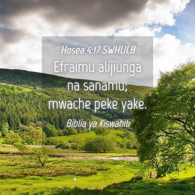 Picture 04 - Hosea 4:17 SWHULB - Efraimu alijiunga na sanamu; mwache peke - Bible Verse Picture