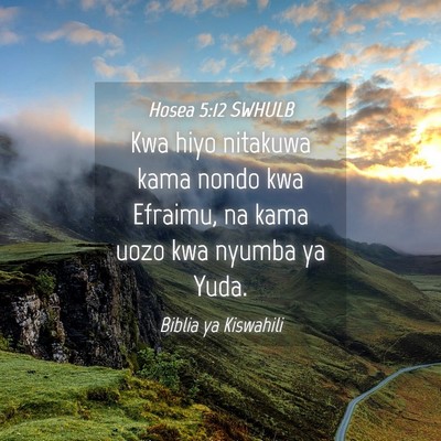 Picture 04 - Hosea 5:12 SWHULB - Kwa hiyo nitakuwa kama nondo kwa Efraimu, na kama - Bible Verse Picture