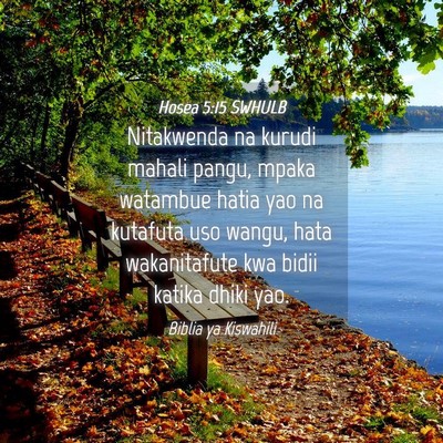 Picture 04 - Hosea 5:15 SWHULB - Nitakwenda na kurudi mahali pangu, mpaka watambue - Bible Verse Picture