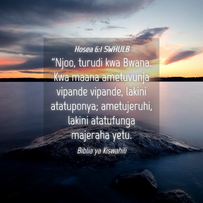 Picture 04 - Hosea 6:1 SWHULB - “Njoo, turudi kwa Bwana. Kwa maana ametuvunja - Bible Verse Picture