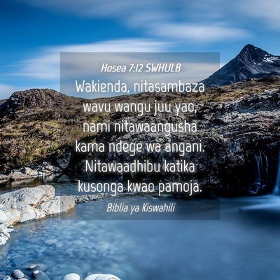 Picture 04 - Hosea 7:12 SWHULB - Wakienda, nitasambaza wavu wangu juu yao, nami - Bible Verse Picture