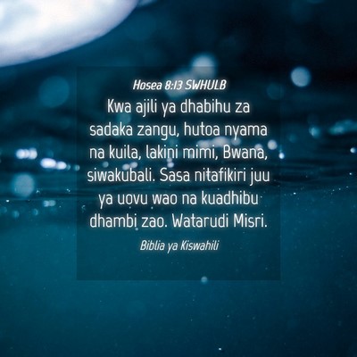 Picture 04 - Hosea 8:13 SWHULB - Kwa ajili ya dhabihu za sadaka zangu, hutoa nyama - Bible Verse Picture