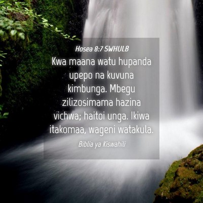 Picture 04 - Hosea 8:7 SWHULB - Kwa maana watu hupanda upepo na kuvuna kimbunga. - Bible Verse Picture