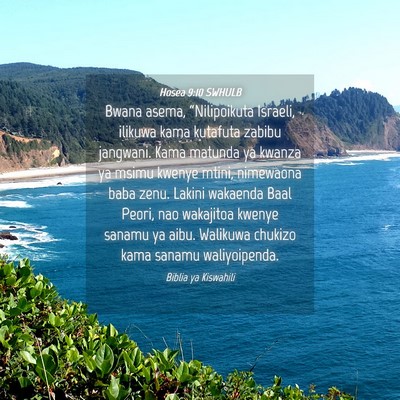 Picture 04 - Hosea 9:10 SWHULB - Bwana asema, “Nilipoikuta Israeli, ilikuwa kama - Bible Verse Picture