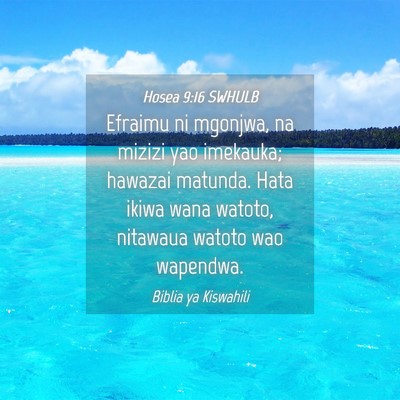 Picture 04 - Hosea 9:16 SWHULB - Efraimu ni mgonjwa, na mizizi yao imekauka; - Bible Verse Picture