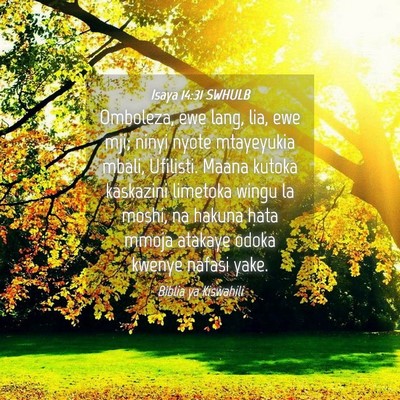 Picture 04 - Isaya 14:31 SWHULB - Omboleza, ewe lang, lia, ewe mji; ninyi nyote - Bible Verse Picture