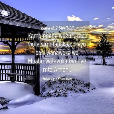 Picture 04 - Isaya 16:2 SWHULB - Kama ndege wazururao, viota vimetapakaa, hivyo - Bible Verse Picture