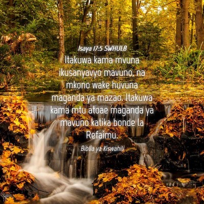 Picture 04 - Isaya 17:5 SWHULB - Itakuwa kama mvuna ikusanyavyo mavuno, na mkono - Bible Verse Picture