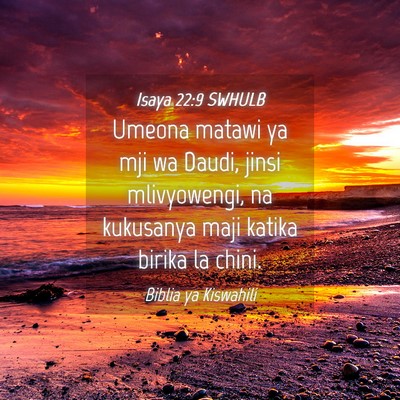 Picture 04 - Isaya 22:9 SWHULB - Umeona matawi ya mji wa Daudi, jinsi mlivyowengi, - Bible Verse Picture