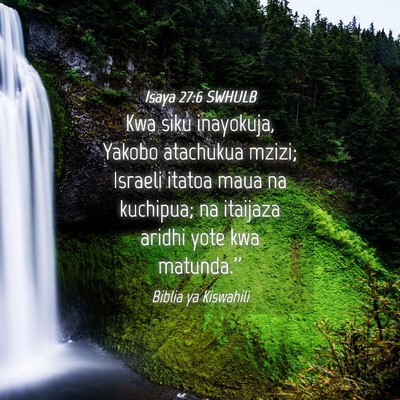 Picture 04 - Isaya 27:6 SWHULB - Kwa siku inayokuja, Yakobo atachukua mzizi; - Bible Verse Picture