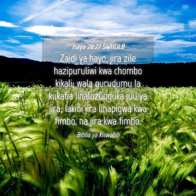 Picture 04 - Isaya 28:27 SWHULB - Zaidi ya hayo, jira zile hazipuruliwi kwa chombo - Bible Verse Picture