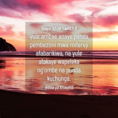 Picture 04 - Isaya 32:20 SWHULB - yule ambae anaye panda pembezoni mwa mifereji - Bible Verse Picture