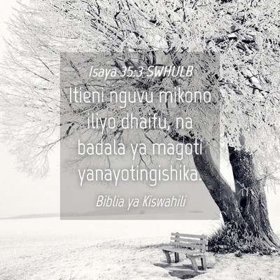 Picture 04 - Isaya 35:3 SWHULB - Itieni nguvu mikono iliyo dhaifu, na badala ya - Bible Verse Picture