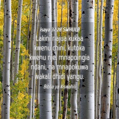 Picture 04 - Isaya 37:28 SWHULB - Lakini najua kukaa kwenu chini, kutoka kwenu nje, - Bible Verse Picture