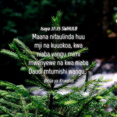 Picture 04 - Isaya 37:35 SWHULB - Maana nitaulinda huu mji na kuuokoa, kwa niaba - Bible Verse Picture
