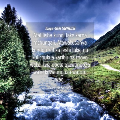 Picture 04 - Isaya 40:11 SWHULB - Atalilisha kundi lake kama mchungaji, - Bible Verse Picture