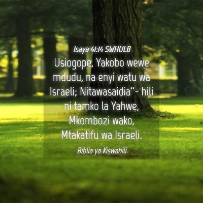 Picture 04 - Isaya 41:14 SWHULB - Usiogope, Yakobo wewe mdudu, na enyi watu wa - Bible Verse Picture