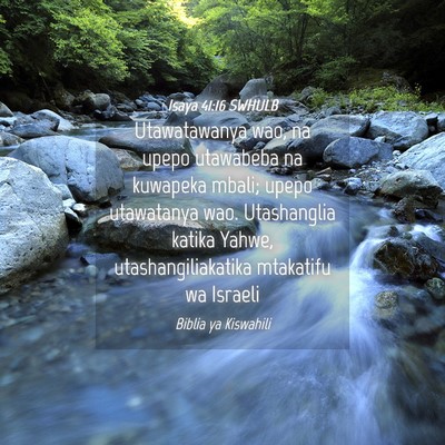 Picture 04 - Isaya 41:16 SWHULB - Utawatawanya wao, na upepo utawabeba na kuwapeka - Bible Verse Picture