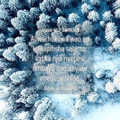 Picture 04 - Isaya 41:3 SWHULB - Aliwachukuwa wao na kuwapitisha salama, katika - Bible Verse Picture