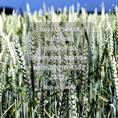 Picture 04 - Isaya 43:21 SWHULB - Watu hawa niliowaumba mwenyewe, kwamba wahesabu - Bible Verse Picture