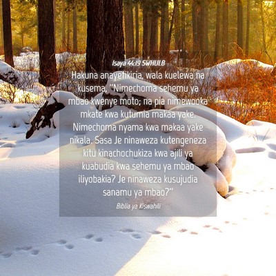 Picture 04 - Isaya 44:19 SWHULB - Hakuna anayefikiria, wala kuelewa na kusema, - Bible Verse Picture