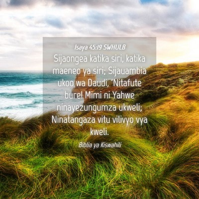 Picture 04 - Isaya 45:19 SWHULB - Sijaongea katika siri, katika maeneo ya siri; - Bible Verse Picture
